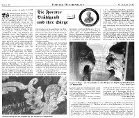 Serie im Forster Wochenblatt über die Brühlgruft