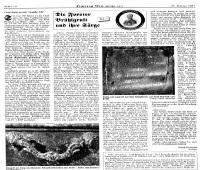 Serie im Forster Wochenblatt über die Brühlgruft