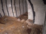 Archäologen legen mittelalterlicher Gräber unter der Brühl-Gruft frei
